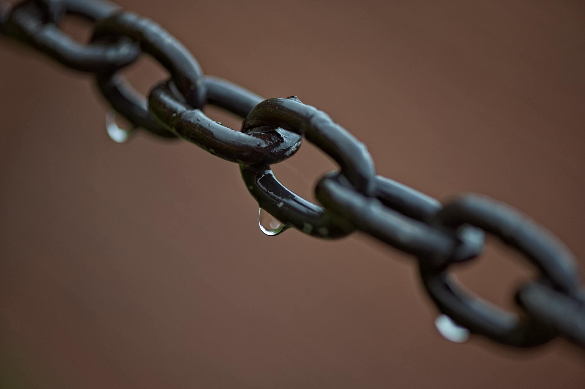 Link Directory for Wellness Resources